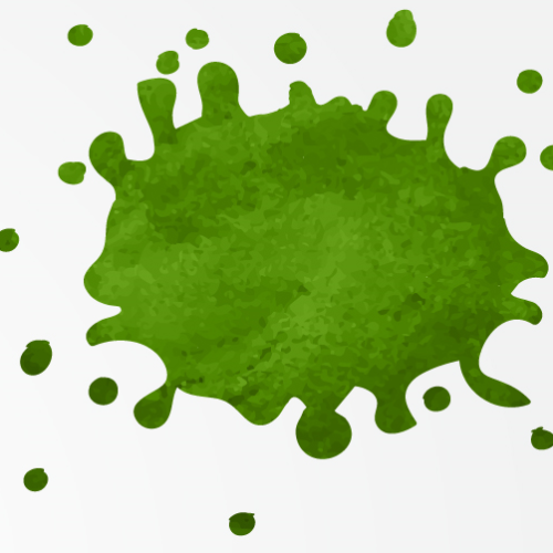 Grüne Gruppe